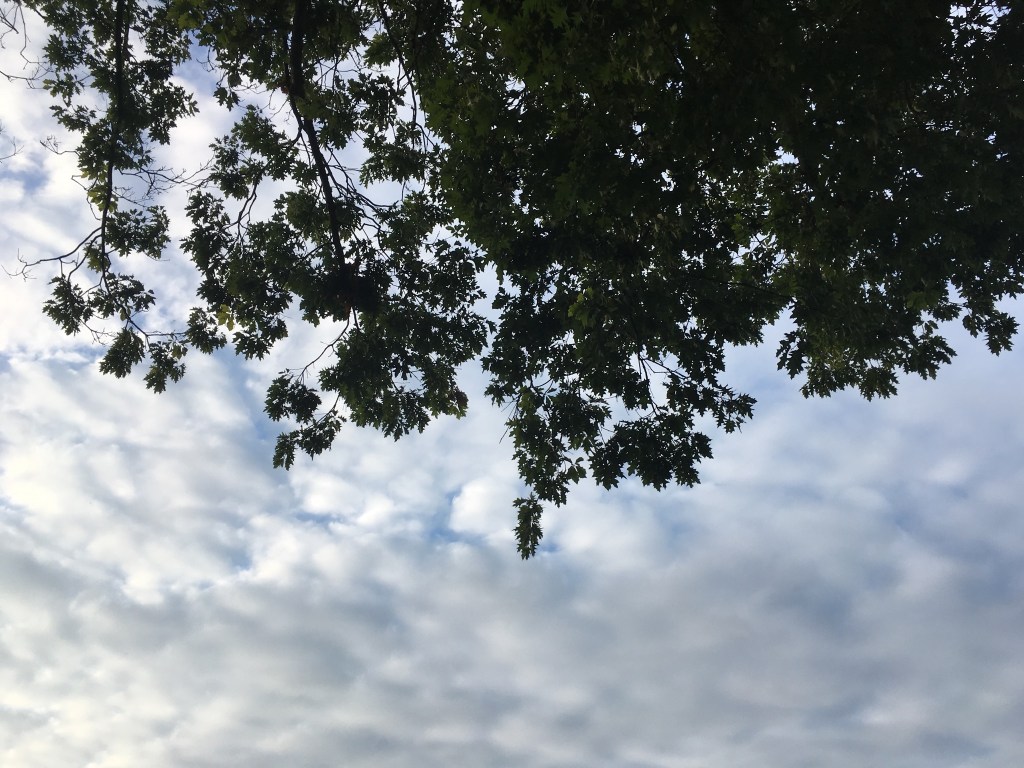 Reciprocity Or Not, Here I&nbsp;Come