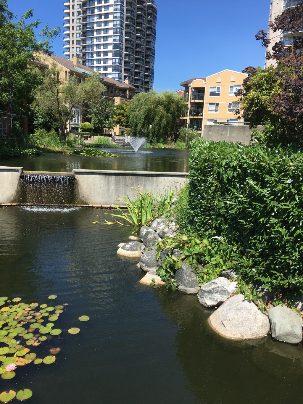 What Do Nurses Do Anyway? Explaining My Profession to the&nbsp;Masses